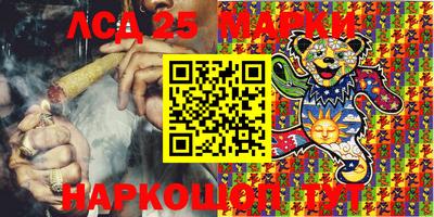 индика Будённовск
