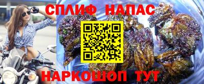 индика Будённовск
