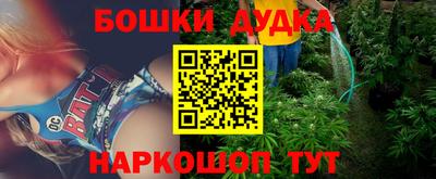 индика Будённовск
