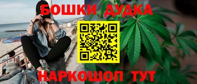 крисы Бузулук