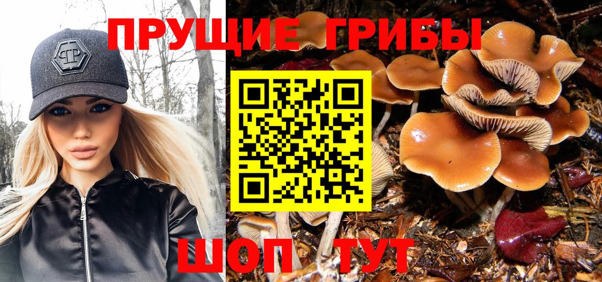 Псилоцибиновые грибы Magic Shrooms  Вход с VPN  Котовск  Псилоцибиновые грибы MAGIC MUSHROOMS 