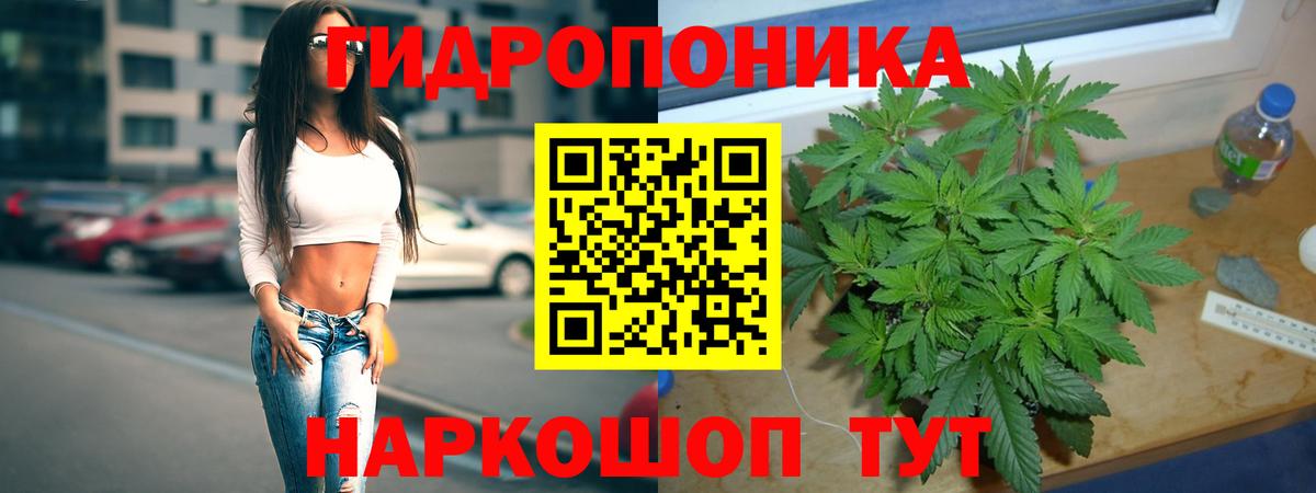 Котовск  Бошки Шишки ГИДРОПОН  Вход с VPN  Бошки марихуана планчик  Каннабис конопля 